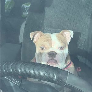 Meet your Posher, Donna